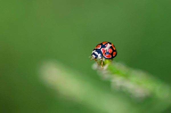 10June2014 Macro 3 10June2014 Macro 3