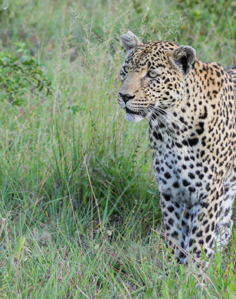 Nottins 2 Nottins 2