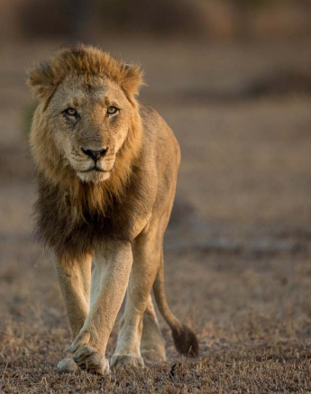 06Pravir Patel SRM 01 06Pravir Patel SRM 01