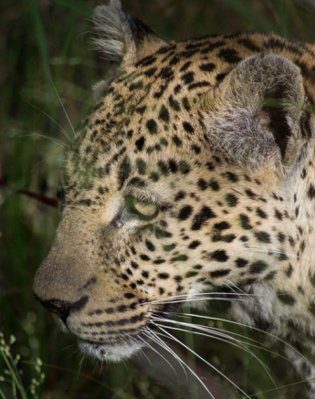 Nottins 3 Nottins 3