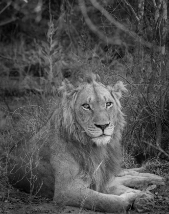 07Kosie Lategan Sparta 07Kosie Lategan Sparta