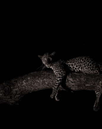 Kelenge 02 Kelenge 02