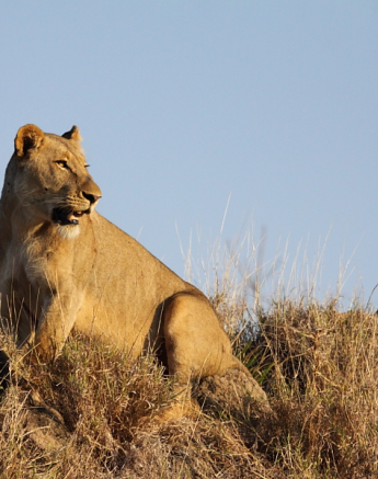 Blog6002 Richard De Gouveia Blog6002 Richard De Gouveia