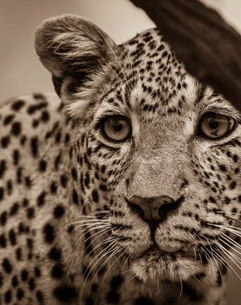 White Dam 02 White Dam 02