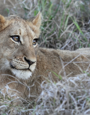 Blog6009 Richard De Gouveia Blog6009 Richard De Gouveia