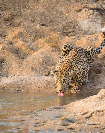 Nottins 02 Nottins 02