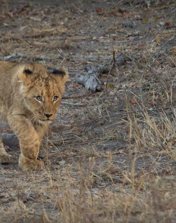 04Kosie Lategan Charles2 04Kosie Lategan Charles2