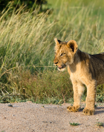 Southern Pride 3 Southern Pride 3
