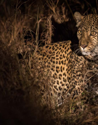 White Dam 01 White Dam 01