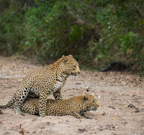 Maxabeni And White Dam 01 Maxabeni And White Dam 01