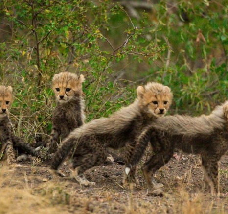 06Blog Cub3 06Blog Cub3
