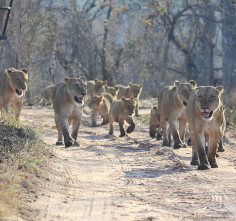 Blog6003 Richard De Gouveia Blog6003 Richard De Gouveia