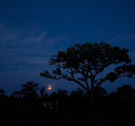 13Nov12 HDR 2 Lrg 13Nov12 HDR 2 Lrg