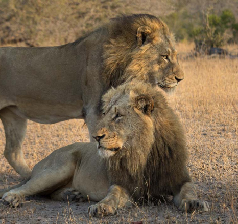 05Kosie Lategan Charles5 05Kosie Lategan Charles5