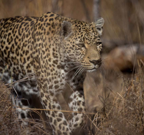 12Pravir Patel Nottins 01 12Pravir Patel Nottins 01