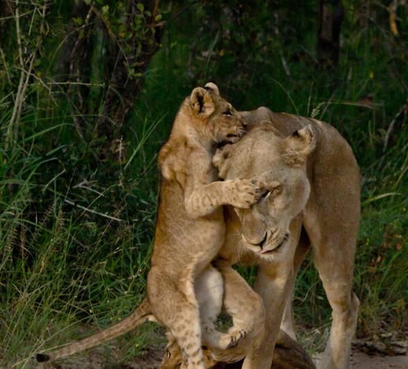 18Feb13 After 18Feb13 After