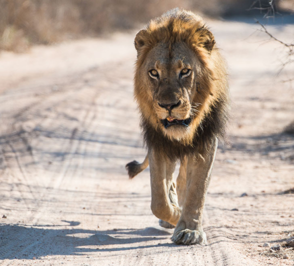 Solo.Terry  Solo.Terry