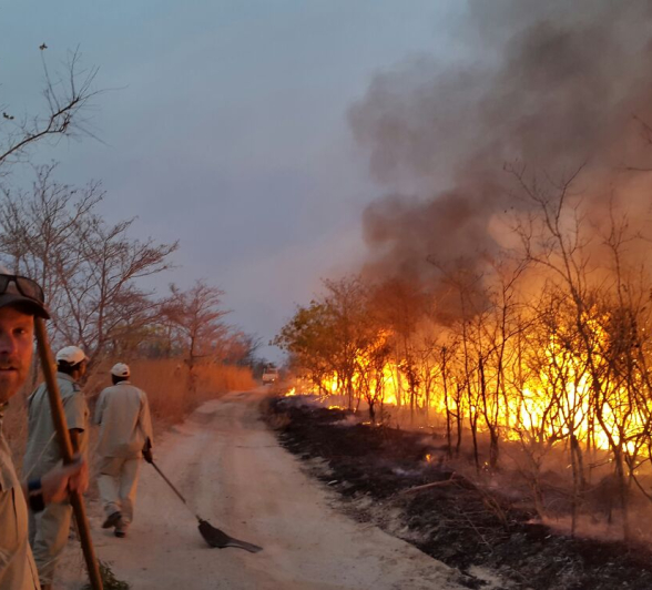 Fire 3 Lance Fire 3 Lance