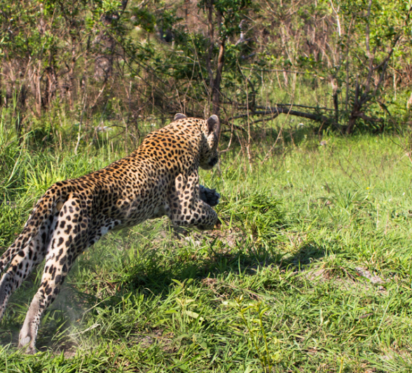 Sandriver 4 Sandriver 4