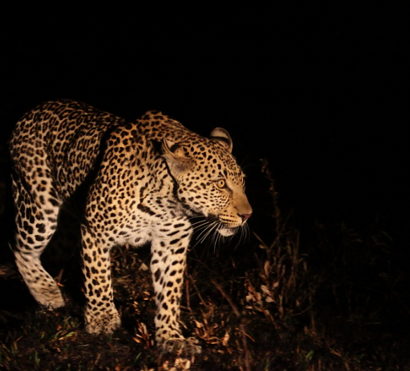 Blog6007 Richard De Gouveia Blog6007 Richard De Gouveia