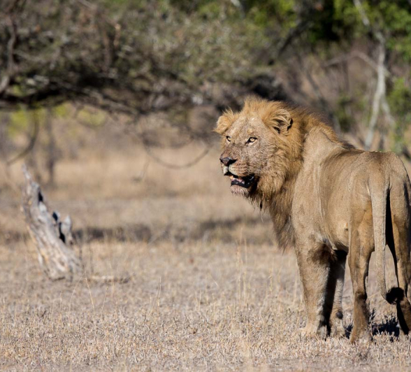 02Pravir Patel Fourways2 02Pravir Patel Fourways2