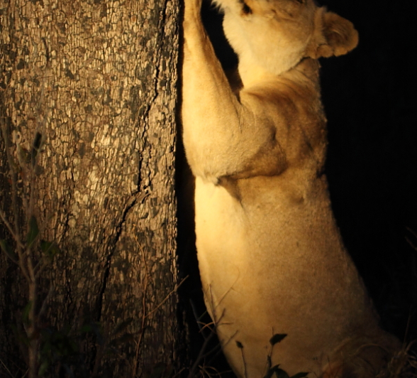 Blog6010 Richard De Gouveia Blog6010 Richard De Gouveia