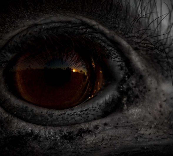 17Mike L Os Eye Sunset 17Mike L Os Eye Sunset