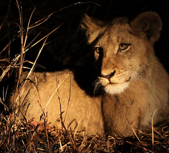 Blog6006 Richard De Gouveia Blog6006 Richard De Gouveia