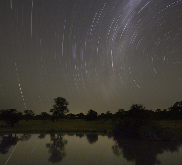 Stary Night Vivovo Pan Stary Night Vivovo Pan