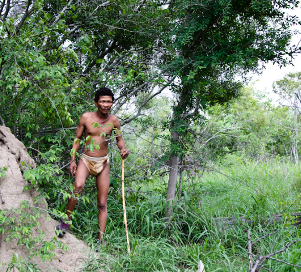 Bushman 5 2 Bushman 5 2