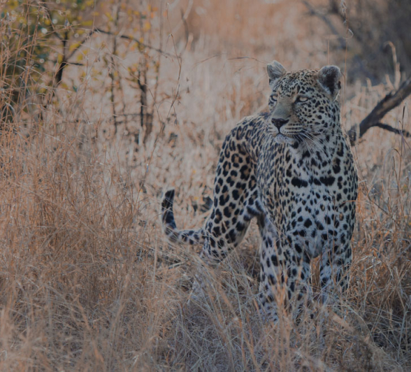 Mike L Nottens 4 Mike L Nottens 4