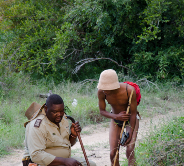 Bushman 3 Bushman 3