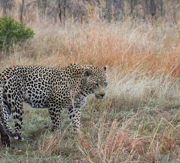 Blog6012 Richard De Gouveia Blog6012 Richard De Gouveia