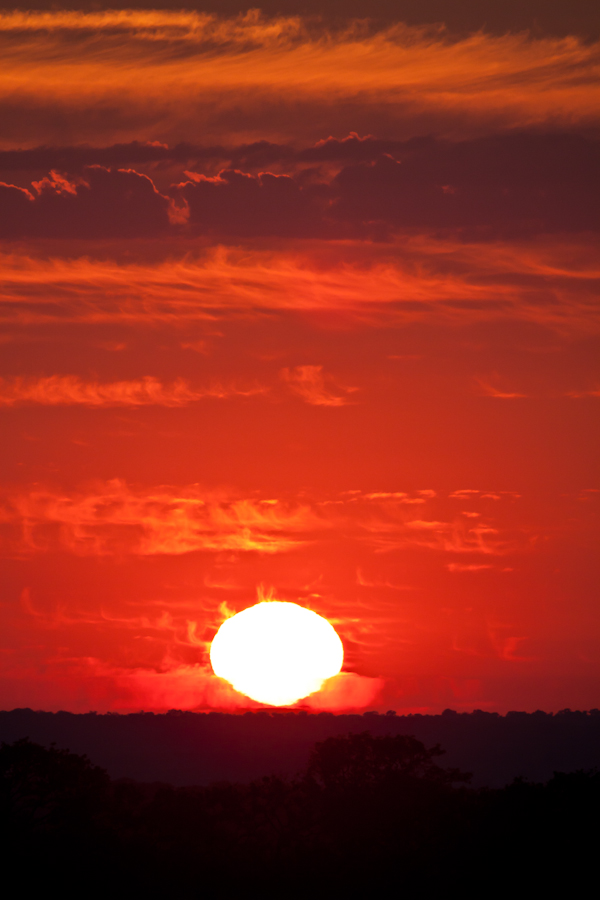 safri sunset at sabi sabi