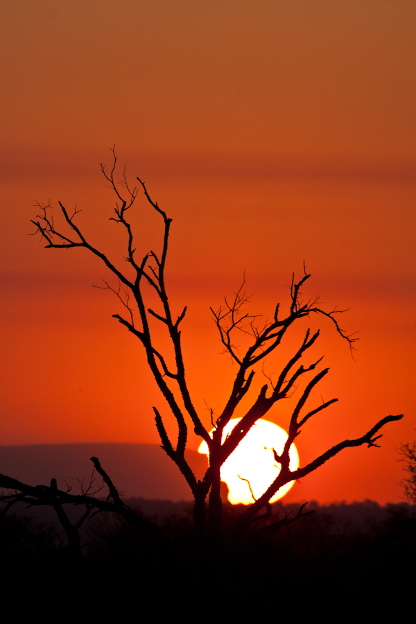 sunset at sabi sabi