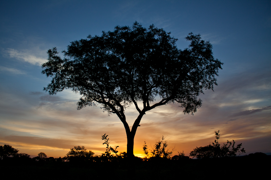 Sunset Sunset