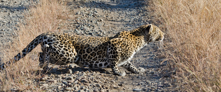 Nottins Hunting 2 Nottins Hunting 2