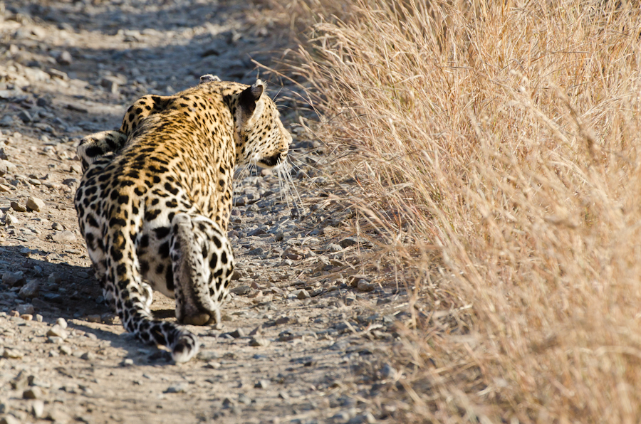 Nottins Hunting 3 Nottins Hunting 3