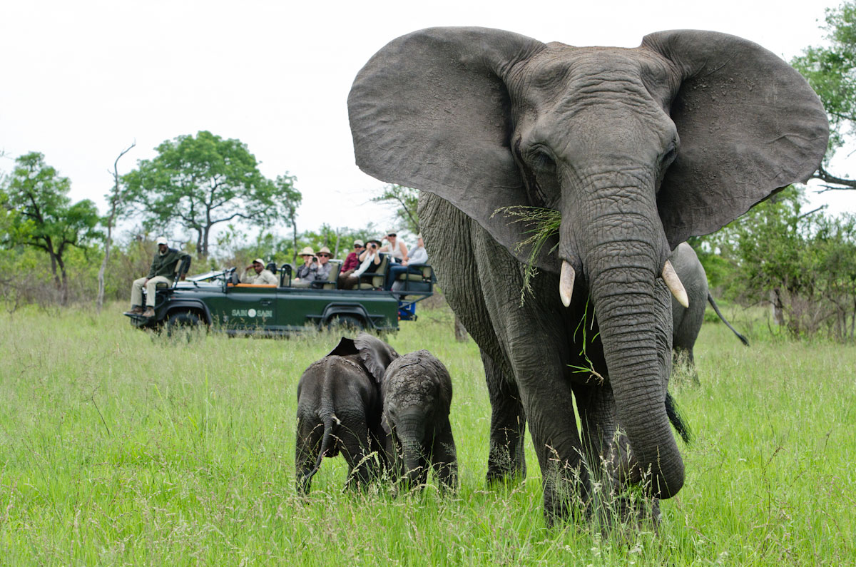 Elephant Twins 2 Elephant Twins 2