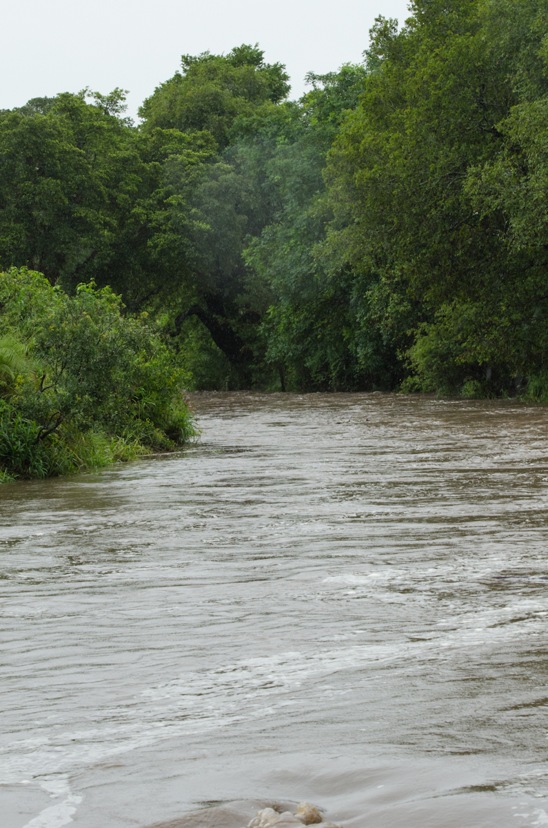 MusthluFlood1 MusthluFlood1