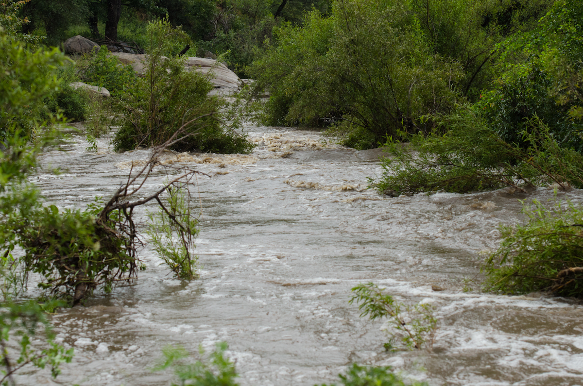 MusthluFlood2 MusthluFlood2