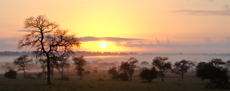 Sabi Sabi Sabi Sabi