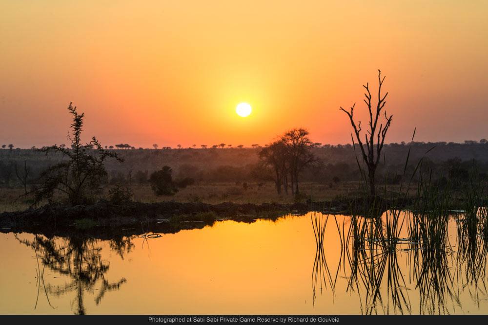 964997 527191663995156 2101054998 O 964997 527191663995156 2101054998 O