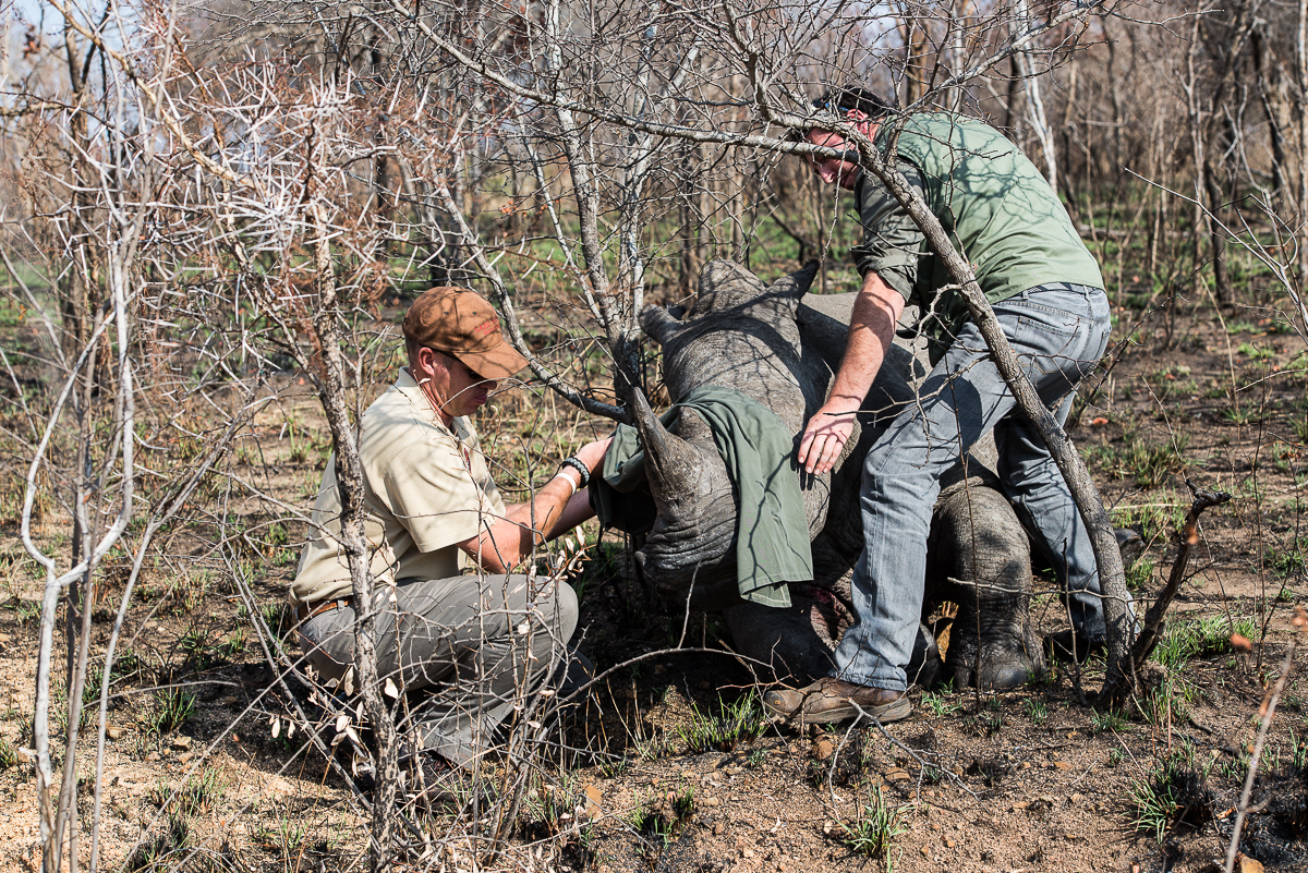 Rhino Rescue 2 2 2 2 Rhino Rescue 2 2 2 2