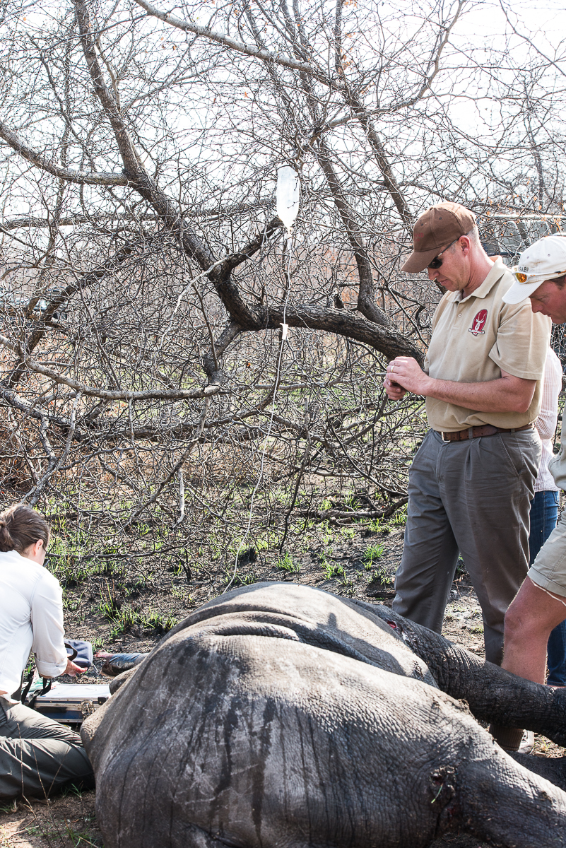 Rhino Rescue 3 3 Rhino Rescue 3 3