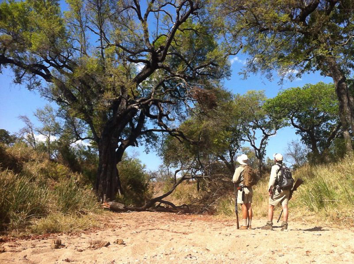 Jackla Berry Pic 2 SImon Smit Jackla Berry Pic 2 SImon Smit