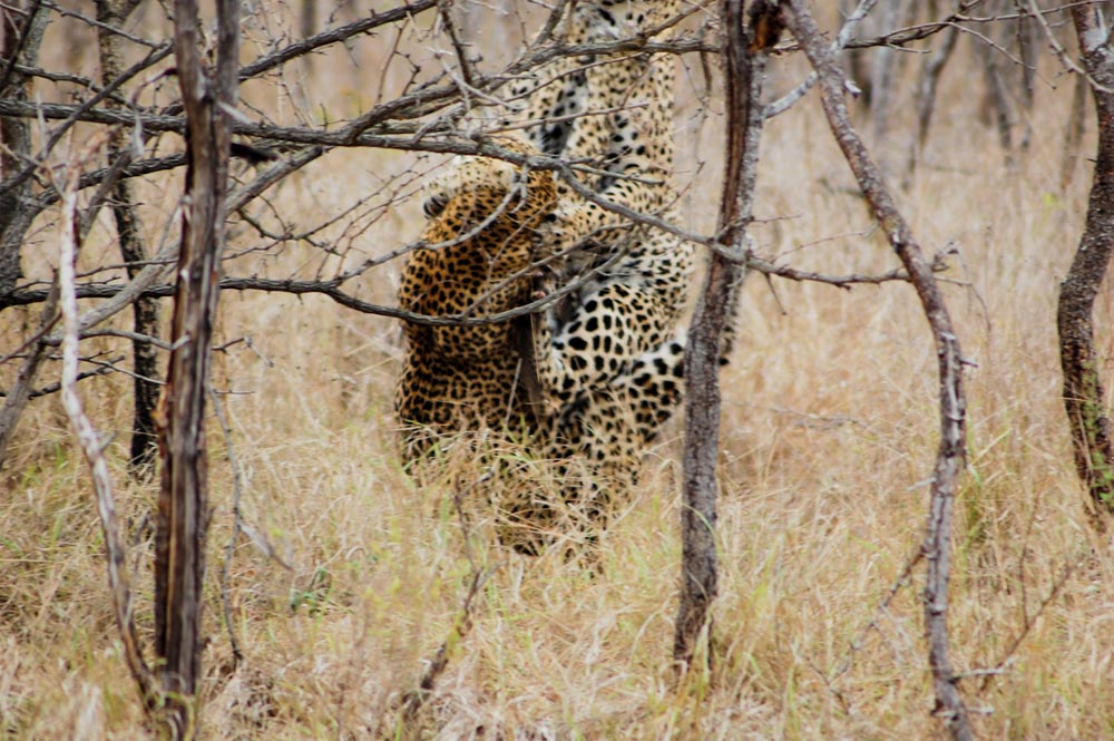 Image 7 Image 7