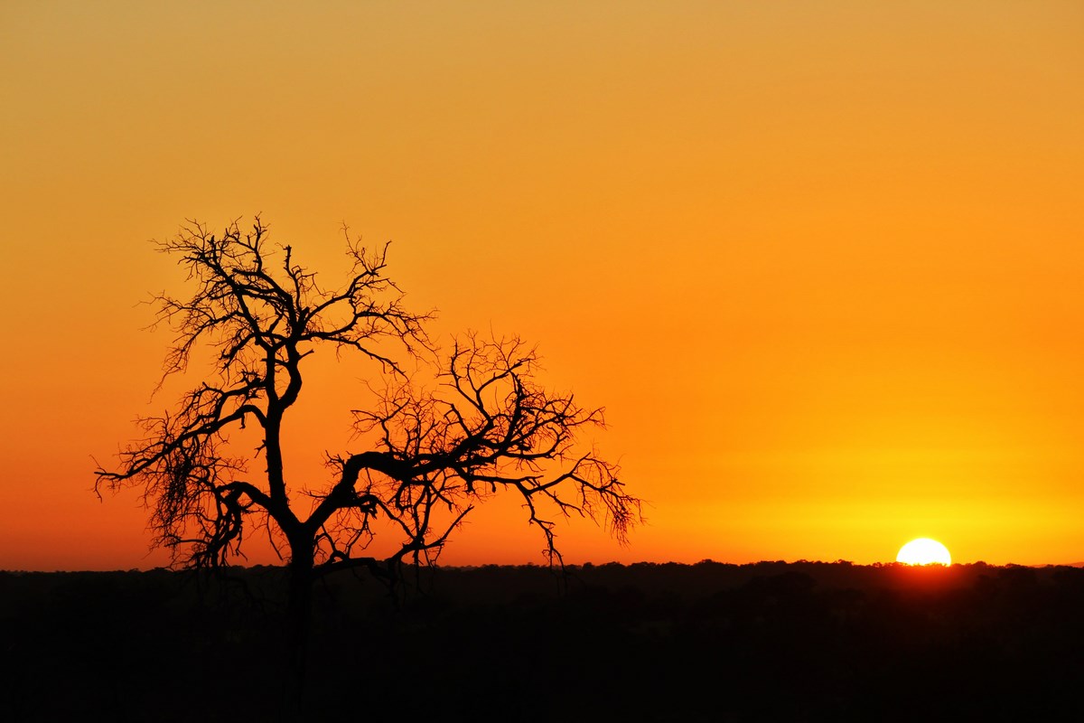 Sunrise 2 Copy Sunrise 2 Copy