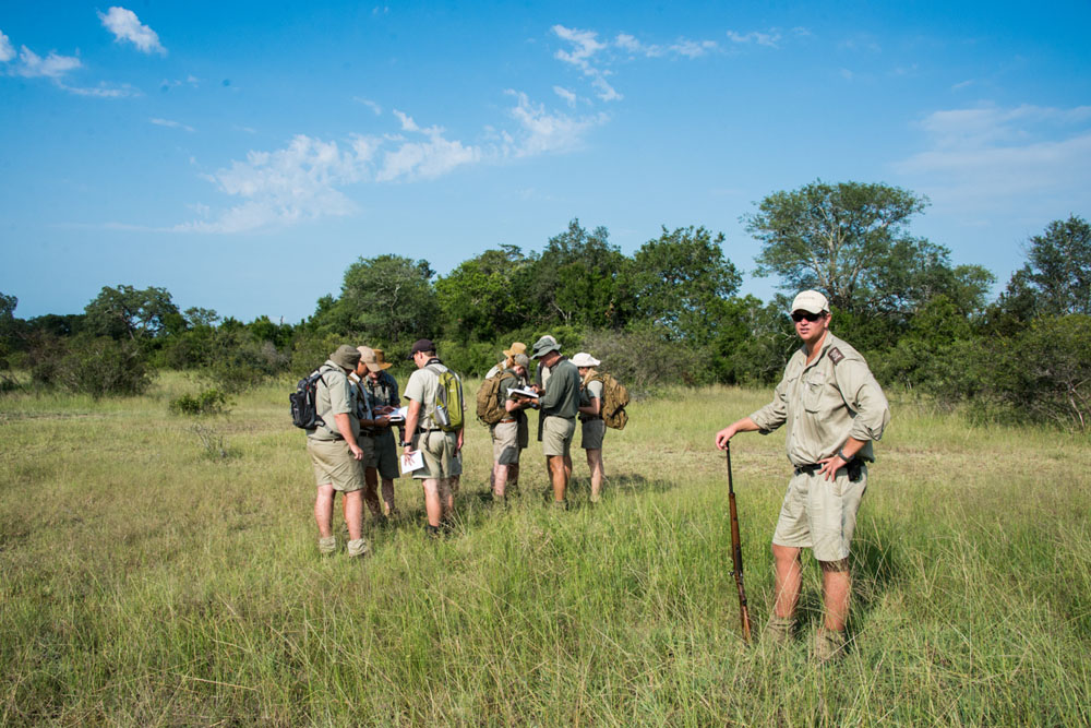 What Is It To Be A Safari Guide Sabi Sabi Private Game Reserve Blog 