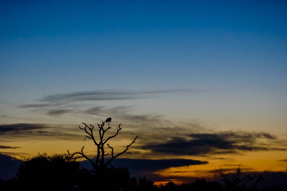 Mike Palmer Maribou Sunset Mike Palmer Maribou Sunset